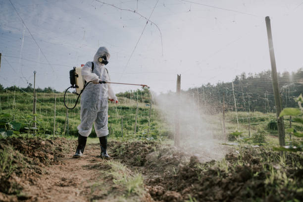 Best Best Pest Control Companies  in Woodland, CA