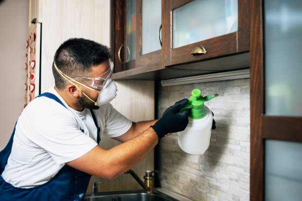 Best Affordable Pest Control Services  in Woodland, CA