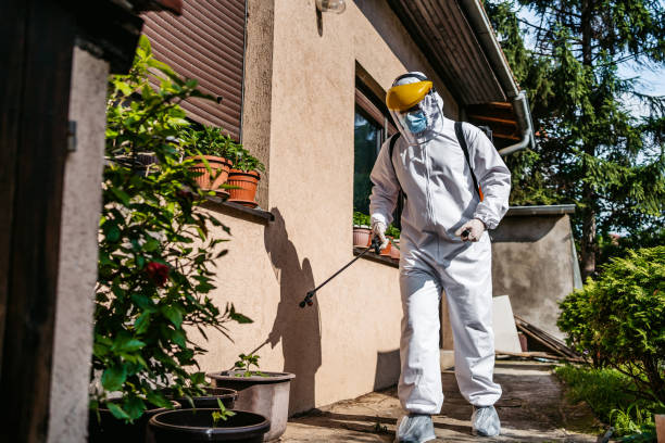 Best Pest Control Near Me in Woodland, CA