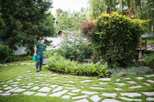 Best Best Pest Control Companies  in Woodland, CA