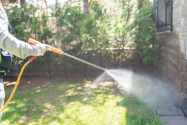Wildlife Control Services in Woodland, CA