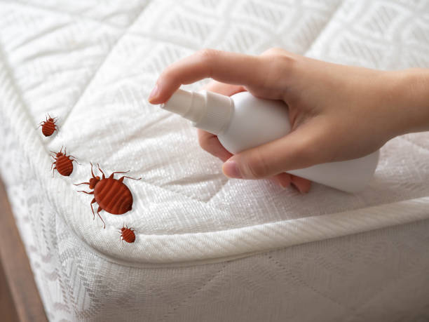 Best Flea Control Services  in Woodland, CA