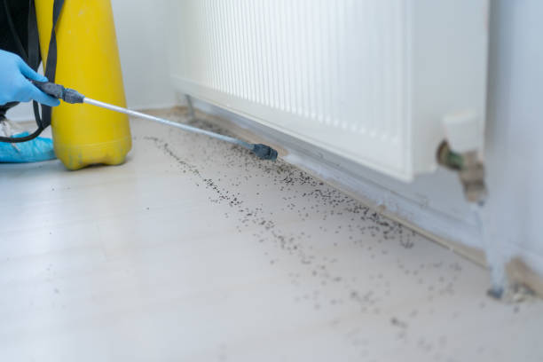 Best Bed Bug Extermination  in Woodland, CA